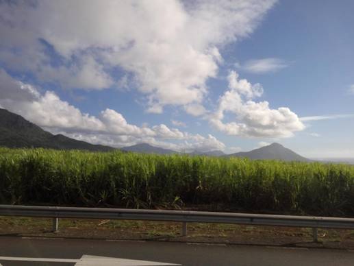 说明:毛求初印象