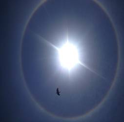 说明:C:\Users\lenovo\AppData\Local\Microsoft\Windows\Temporary Internet Files\Content.Word\IMG_5300.jpg