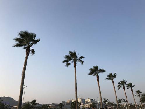 说明:心得IMG_0121